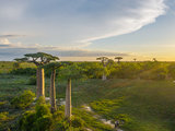 小贱筑师带你走进【马达加斯加】动画世界-猴面包树·穆龙达瓦·渔村·奇灵地·安达西贝·国家公园·狐猴·变色龙·塔那那利佛