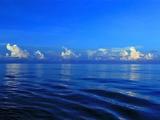 蔚蓝色的呼唤---100天环球邮轮航海日志（已全部完成）