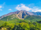 【盒饭看世界】探索奔放火山与世界上最神秘的森林：日本南九州揽胜（鹿儿岛、指宿、屋久岛）攻略