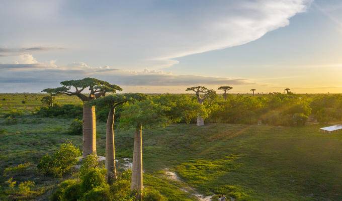 小贱筑师带你走进【马达加斯加】动画世界-猴面包树·穆龙达瓦·渔村·奇灵地·安达西贝·国家公园·狐猴·变色龙·塔那那利佛